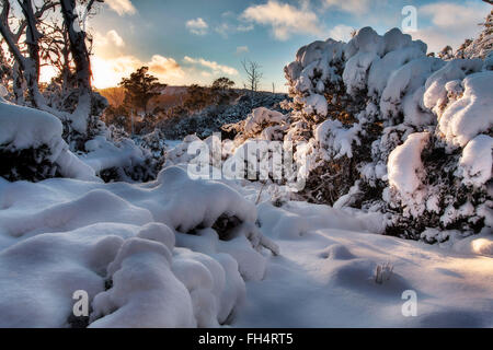 Verschneite Szene Stockfoto