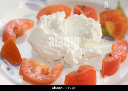 frischer Ricotta und Tomaten Stücke auf einem weißen Teller Stockfoto