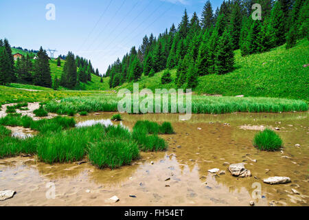 Pertuis See - Gletschersee, der im Sommer, auf 1620 m in in die Pisten im Skigebiet Portes du Soleil, Frankreich trocknet Stockfoto