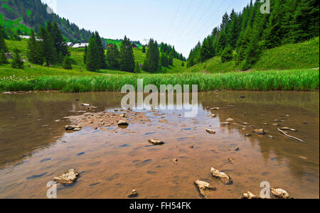 Pertuis See - Gletschersee, der im Sommer, auf 1620 m in in die Pisten im Skigebiet Portes du Soleil, Frankreich trocknet Stockfoto