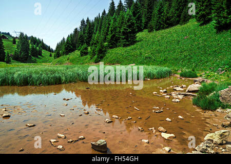 Pertuis See - Gletschersee, der im Sommer, auf 1620 m in in die Pisten im Skigebiet Portes du Soleil, Frankreich trocknet Stockfoto