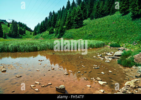 Pertuis See - Gletschersee, der im Sommer, auf 1620 m in in die Pisten im Skigebiet Portes du Soleil, Frankreich trocknet Stockfoto