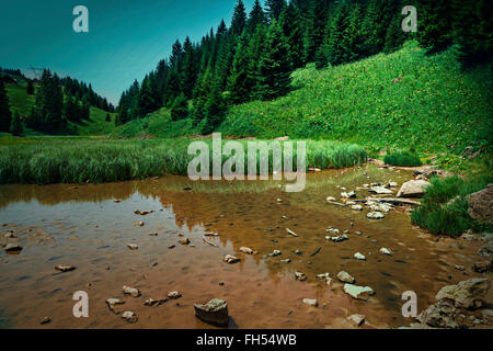 Pertuis See - Gletschersee, der im Sommer, auf 1620 m in in die Pisten im Skigebiet Portes du Soleil, Frankreich trocknet Stockfoto