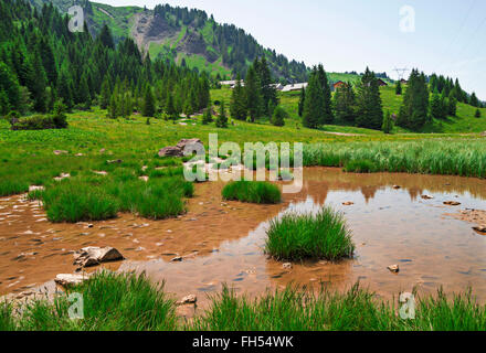 Pertuis See - Gletschersee, der im Sommer, auf 1620 m in in die Pisten im Skigebiet Portes du Soleil, Frankreich trocknet Stockfoto