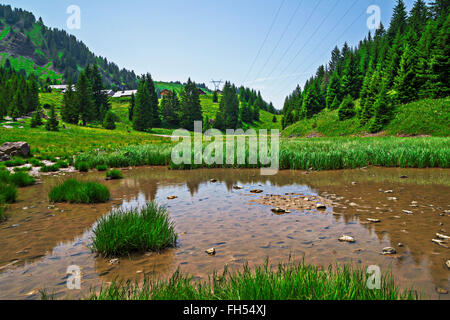 Pertuis See - Gletschersee, der im Sommer, auf 1620 m in in die Pisten im Skigebiet Portes du Soleil, Frankreich trocknet Stockfoto