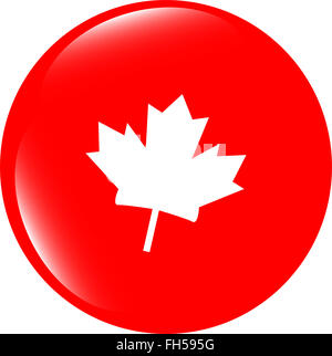 Vektor Maple Leaf Symbolschaltfläche glasig web Stockfoto