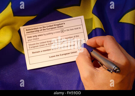 Eine Wahlkarte für das Referendum über die UK-Mitgliedschaft der Europäischen Union Stockfoto