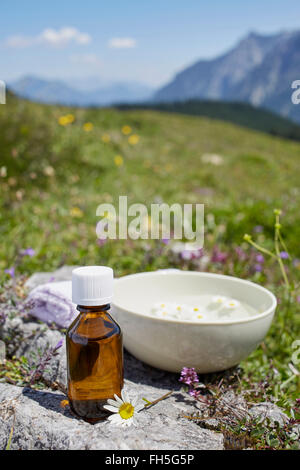 Homöopathische Medizin und Kamille, Strobl, Salzburger Land, Österreich Stockfoto