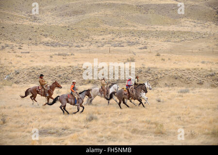 Cowboys und Cowgirls Reiten in der Wildnis, Rocky Mountains, Wyoming, USA Stockfoto