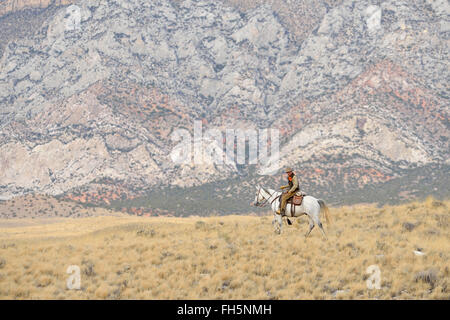 Cowboy auf Pferd in der Wildnis, Rocky Mountains, Wyoming, USA Stockfoto