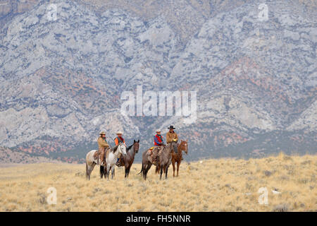 Cowboys und Cowgirls Reiten in Wlderness, Rocky Mountains, Wyoming, USA Stockfoto