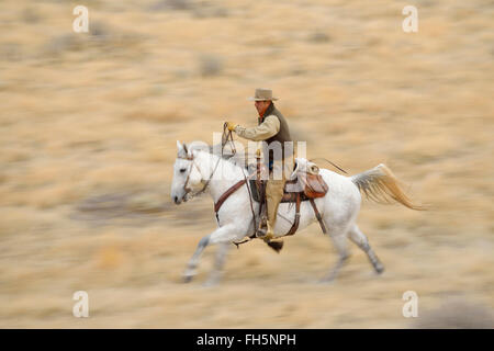 Bewegungsunschärfe Cowboy auf Pferd im Galopp in Wildnis, Rocky Mountains, Wyoming, USA Stockfoto