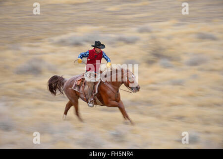 Bewegungsunschärfe Cowboy auf Pferd im Galopp in Wildnis, Rocky Mountains, Wyoming, USA Stockfoto