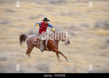 Bewegungsunschärfe Cowboy auf Pferd im Galopp in Wildnis, felsigen Bergen, Wyoming, USA Stockfoto