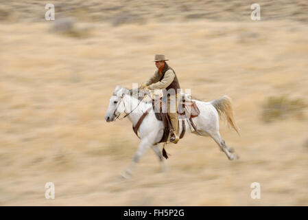 Bewegungsunschärfe Cowboy auf Pferd im Galopp in Wildnis, Rocky Mountains, Wyoming, USA Stockfoto