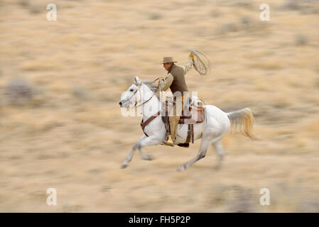 Bewegungsunschärfe Cowboy auf Pferd mit Lasso im Galopp in Wildnis, Rocky Mountains, Wyoming, USA Stockfoto