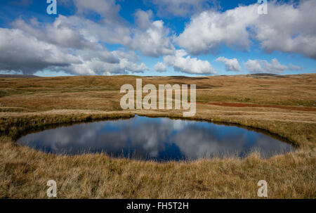 Moor-Pool in ein Waschbecken Loch auf den Brecon Beacons Wales UK in der Nähe von Fan Hir und Llyn y Fan Fawr Stockfoto