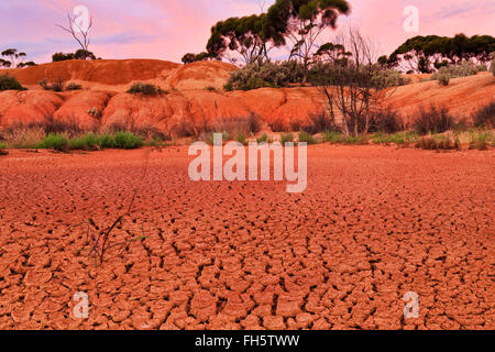 Down to Earth mit roten Dürre Schmutz Boden von Billabong im abgelegenen Outback Westaustraliens Stockfoto