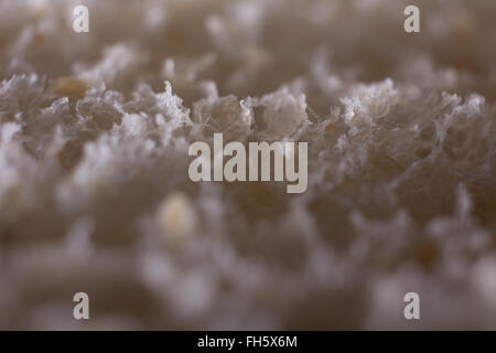 Makro Vollkornbrot Hintergrundtextur Stockfoto