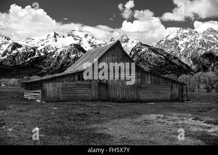 Die Moulton-Scheune und der Teton-Bergkette im Grand-Teton-Nationalpark, Wyoming. Stockfoto