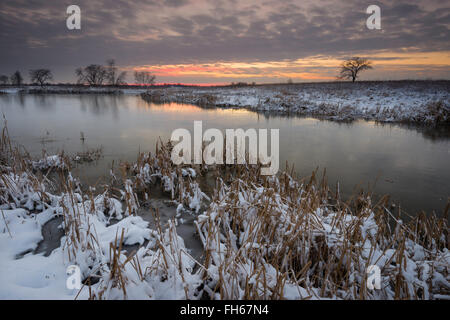 Dämmerung legt sich über ein geschütztes Feuchtgebiet am Ende eines Wintertages. Stockfoto