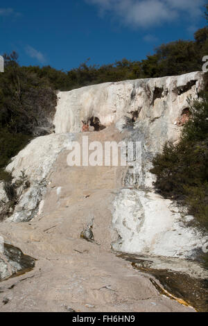 Diamant-Geysir und die Sinter-Terrassen in Orakei Korako oder Hidden Valley in New Zealand. Stockfoto