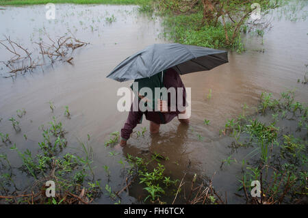 Eine einheimische Frau, sammeln Kräuter in einer überfluteten ländlichen Gegend, verursacht durch den Zyklon Nargis in der Delta-Region südlich von Yangon, Mai Myanmar am 12. 2008. Zyklon Nargis verursacht die schlimmste Naturkatastrophe in der aufgezeichneten Geschichte von Myanmar während Anfang Mai 2008 katastrophale Zerstörung und mindestens 138.000 Todesopfer. Stockfoto