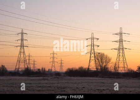 Tottenham-Sümpfe, London, UK. 24. Februar 2016. Heller, klarer und noch Sonnenaufgang sieht Tottenham Marshes unter einer Schicht von Frost während einer Kältewelle. Bildnachweis: Patricia Phillips/Alamy Live-Nachrichten Stockfoto