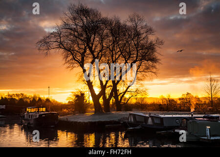 Über Rufford, Burscough, Preston, Lancashire, UK 16 Februar, 2016 Dawn. UK Wetter. Einen sehr kalten und frostigen Start mit viel Sonnenschein für Hausboote Bewohner an der St Mary's Marina, auf einer schön ruhigen Teil der Rufford Branch der Leeds - Liverpool Canal entfernt. Stockfoto