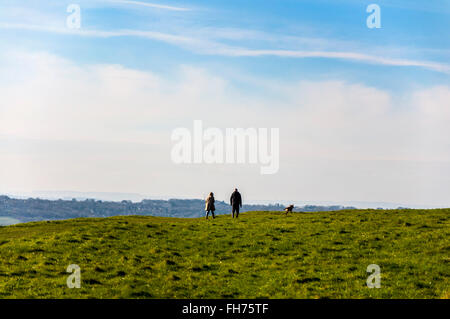 Wenig Solsbury Hill, Bath, Somerset, UK. 24. Februar 2016. Hundebesitzer auf die alte Festung der Eisenzeit bekannt geworden in der Peter Gabriel-Song "Solsbury Hill". Eine klare, gestochen scharfe aber kalten Tag. Bildnachweis: Richard Wayman/Alamy Live-Nachrichten Stockfoto