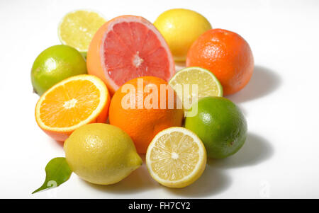 Zitrusfrüchte Zitrone, Limette, Grapefruit, Orange, isoliert auf weiss Stockfoto