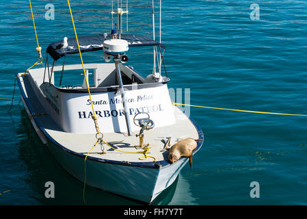 sitzen in der Sonne an Bord eines Bootes Küstenpatrouille Dichtung Stockfoto