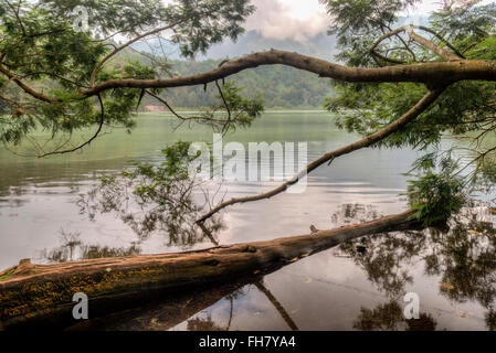 Telaga Warna oder farbenfrohe Scene Lake, Dieng Plateau, Java Indonesien Stockfoto