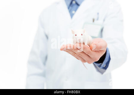 Chemiker Holding Ratte isoliert auf weißem Hintergrund Stockfoto