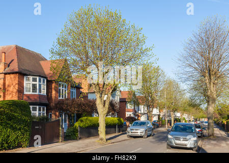 Typische Mittelklasse Häuser auf einer von Bäumen gesäumten Wohnstraße in West Bridgford, Nottinghamshire, England, Großbritannien Stockfoto