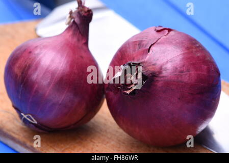 Rote Zwiebeln mit Messer auf Holzbrett Stockfoto