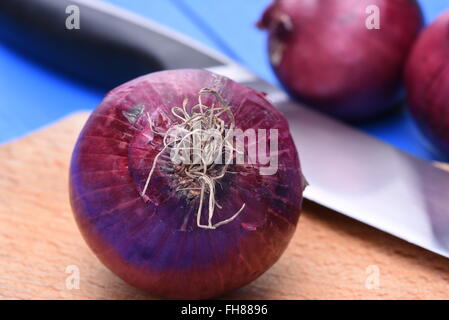 Rote Zwiebeln mit Messer auf Holzbrett Stockfoto