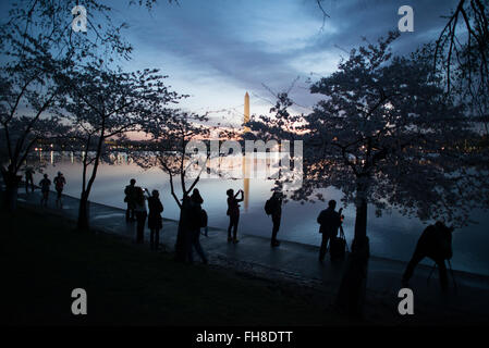 WASHINGTON DC, USA – Fotografen stehen am Ufer des Tidal Basin vor Sonnenaufgang während der Blüte der berühmten Kirschblüten. Stockfoto