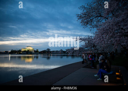 WASHINGTON DC, USA – Fotografen stehen am Ufer des Tidal Basin vor Sonnenaufgang während der Blüte der berühmten Kirschblüten. Stockfoto