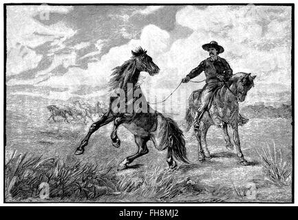 Schwarz / weiß-Gravur eines Cowboy roping ein wildes Pferd in der Prärie. Stockfoto