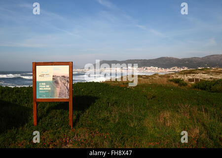 Tragen Sie für Projekt zur Wiederherstellung der Vegetation auf Sanddünen, Vila Praia de Ancora in Hintergrund, Provinz Minho, Nordportugal Stockfoto