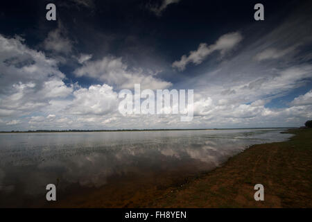 West Bay, Siem Reap, Kambodscha Stockfoto