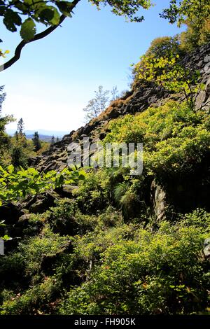 Schutthalden und seltene Flora auf dem Weg zur Milseburg Rhön Nature Reserve. Kleinsassen, UNESCO Biosphären Reservat Rhön, Hessen, Deutschland, Europa-Datum: 30. September 2015 Stockfoto