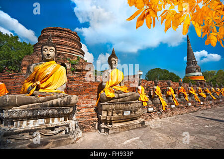 Roh von Buddha-Statuen in Ayutthaya, Thailand, Stockfoto