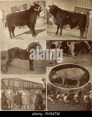Bauernmarkt-Magazin (Januar-Dezember 1920) (1920) Stockfoto