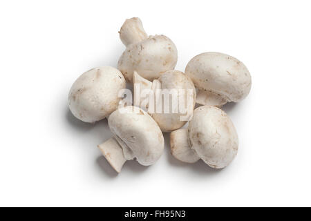 Frische ganze rohe Champignons, Champignons, auf weißem Hintergrund Stockfoto