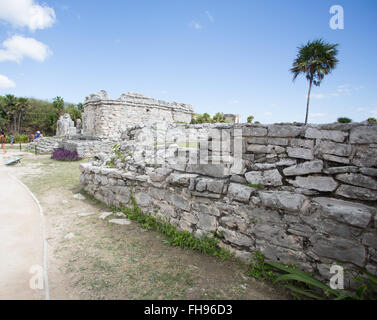 Maya Tempel Tuin in Tulum Mexiko Stockfoto