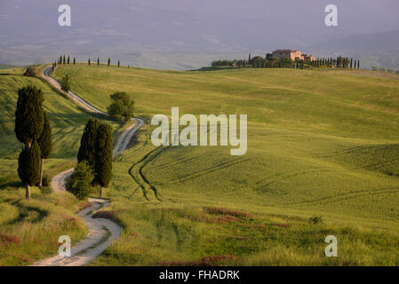 Die weißen Schotterstraße (Strada Bianca), Terrapille Agriturismo mit Zypressen daneben in Val d ' Orcia, Toskana, Italien. Stockfoto