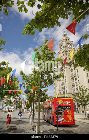 Sightseeing-Bus in der Nähe von Liver Building, Liverpool, UK. Stockfoto