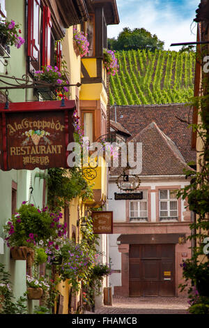 Stadt von Riquewihr entlang der Route des Vins (Weinstraße), Elsass, Frankreich Stockfoto